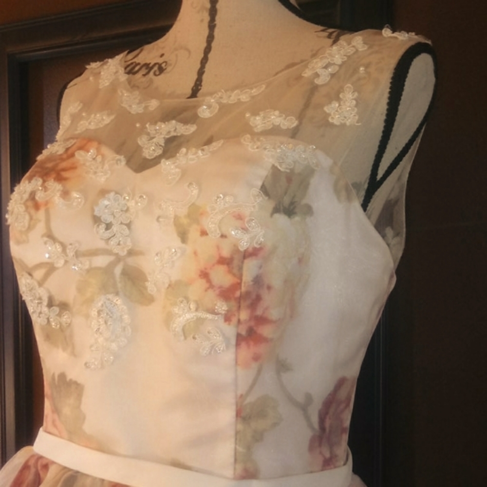 Gorgeous custom made gown - Picture 3 of 14